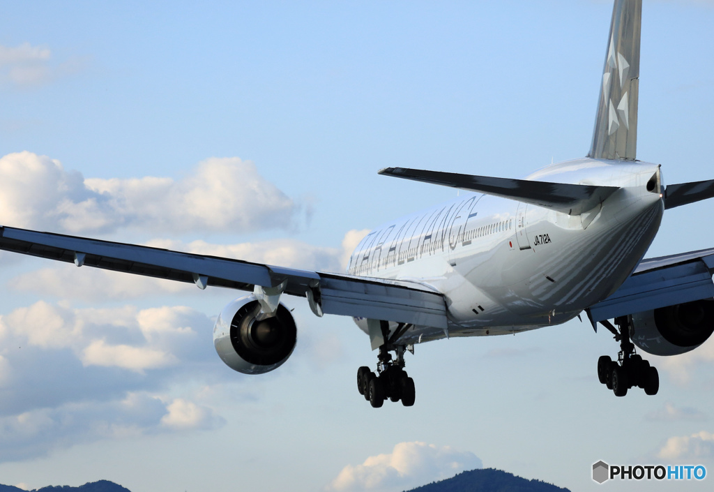 ✈初めての聖地巡礼に！ ☮ STAR+ゼブラ