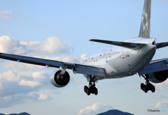✈初めての聖地巡礼に！ ☮ STAR+ゼブラ