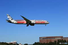 「あおいそら」ETIHAD 787-9 F-1 カラー Landing