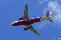 「ぶるー」 Peach A320-214 JA820P 飛ぶ