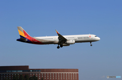 「あおいそら」ASIANA A321-231 HL8039 Landing