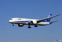「そらー」 ANA 787-9 JA837A Landing 