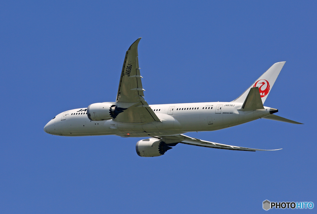 「青が好き」 JAL 787-8 JA836J 出発