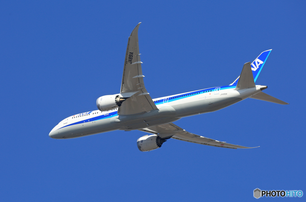 ☀「青い空」が一番 ANA 787-9 JA891A