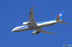 ☀「青い空」が一番 ANA 787-9 JA891A