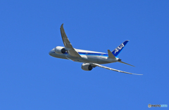 ☀「青い空」ANA 787-8 JA834A  Takeoff  