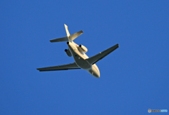 「青が大好き」プライベート機 Dssault Falcon 飛び立ちです