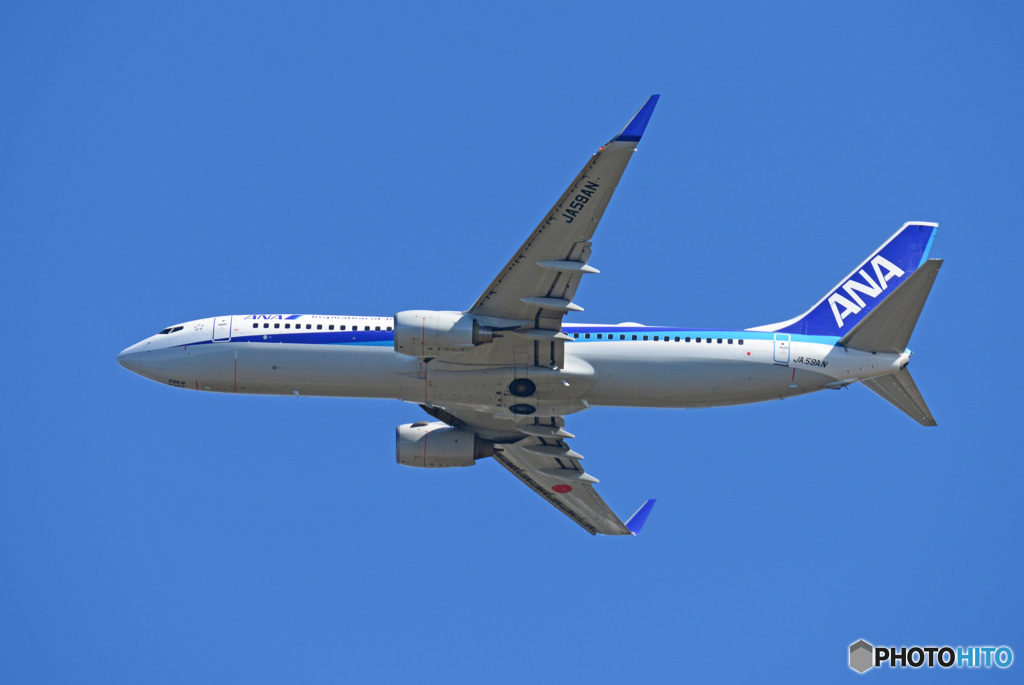 「青が大好き」☀ ANA 737-881 JA777A 飛行