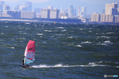 「クール」東京湾のウインドサーフィン（０１）