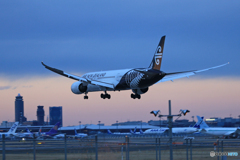  「晴れ」NZ' 787-9  ZK-NZC Landing