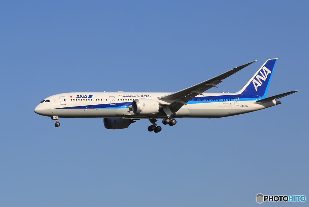 「青い日」ANA 787-9 JA836A  着陸します