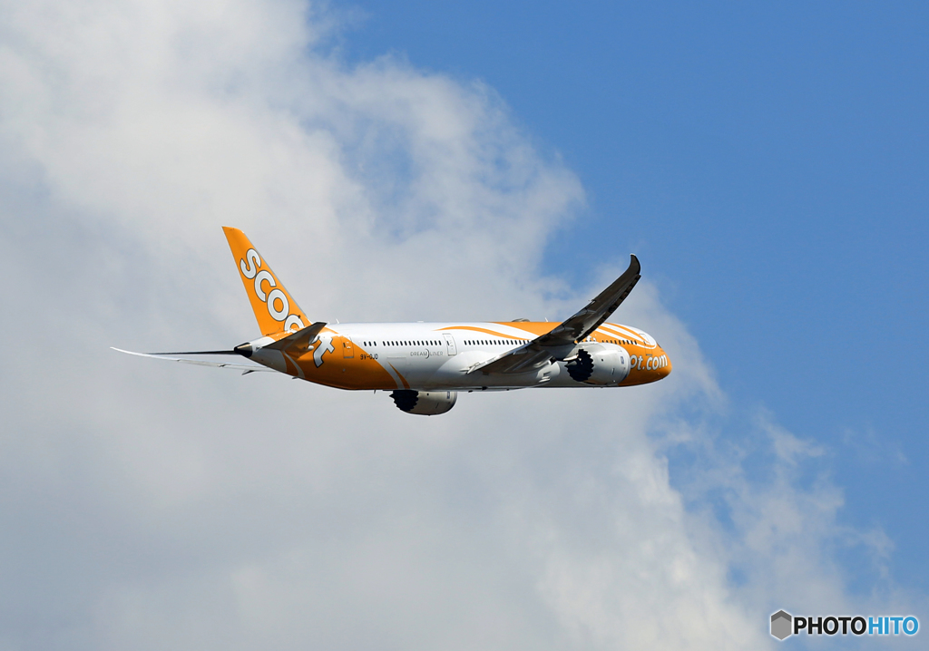 「青空」 scoot 787-9 9V-OJD 離陸 します