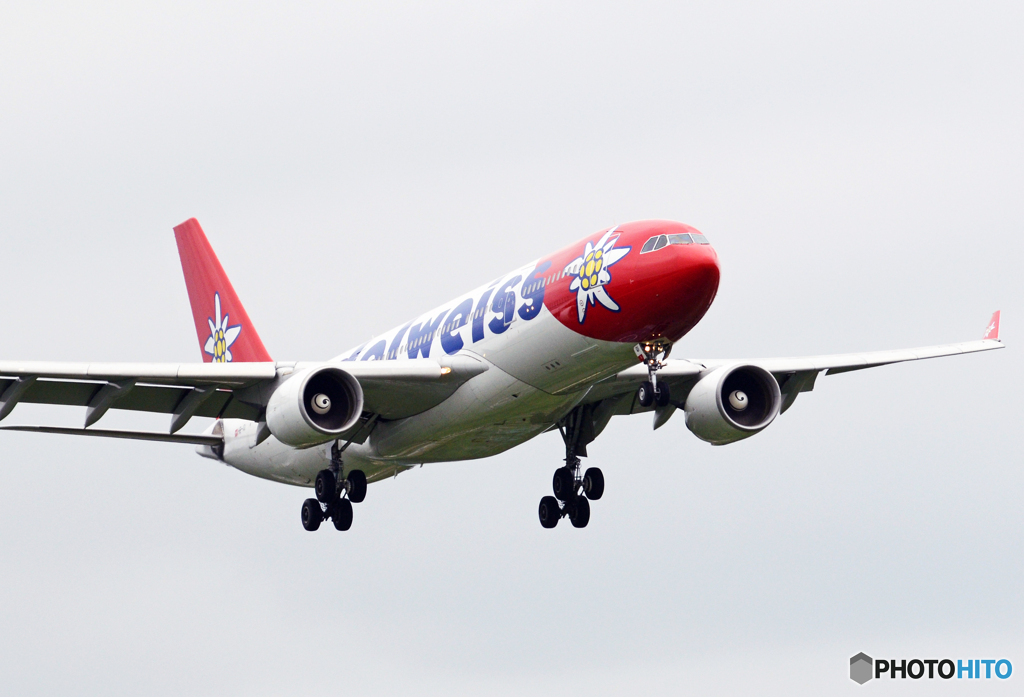 ☮思い出の１枚☮スイス エーデルワイス A330-223 ☮現わる！