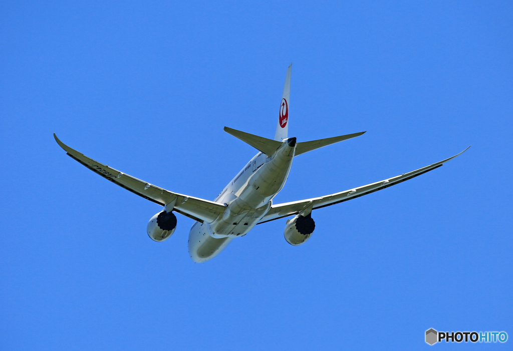 「青色が好き」 JAL 787-8 JA824J 飛び立ち