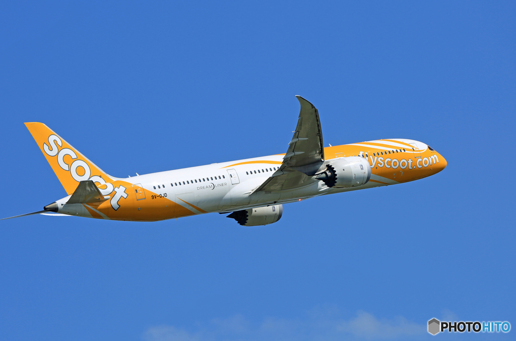 「青が大好き」 Scoot 787-9 9V-OJD Takeoff 