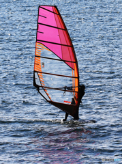 「SKY」ウインドサーフィン・ピンク