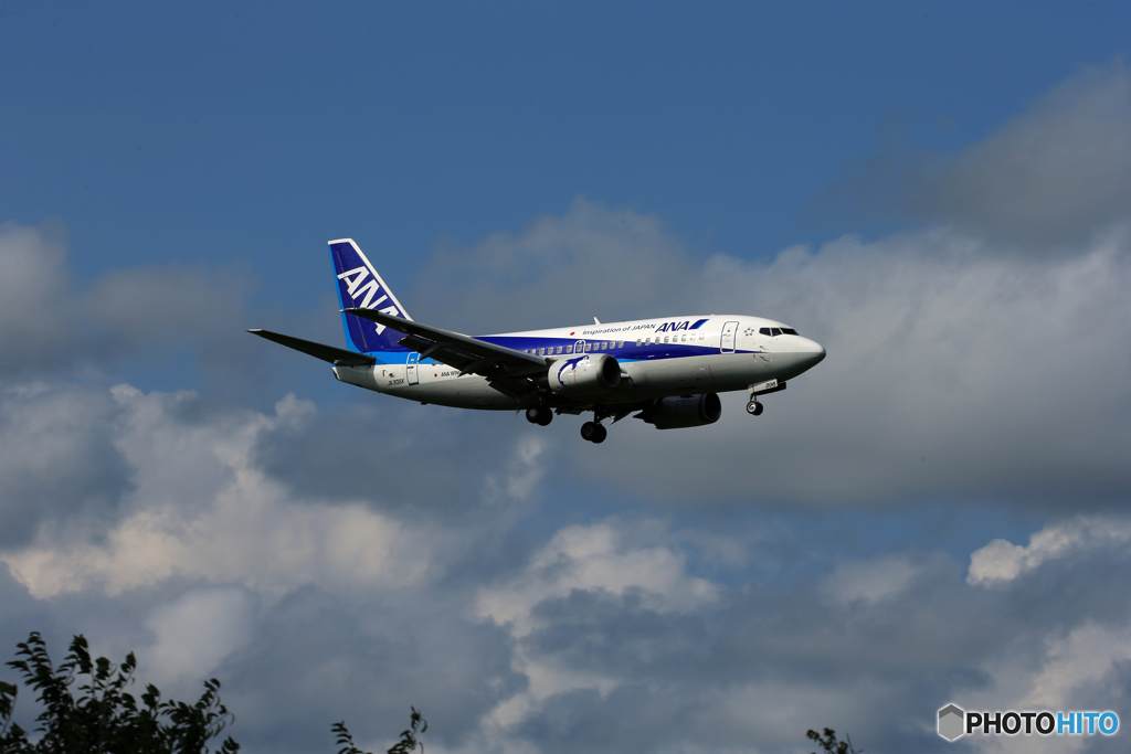 ☮まだ飛んでいるので早目に撮りましょう☮