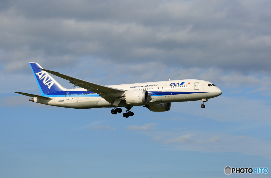 「青色が好き」 ANA 787-8 JA828A  Landing