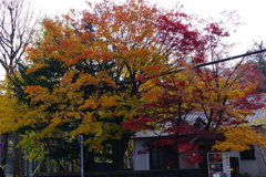 北大周辺にて