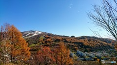 秋の終わりの冷水山