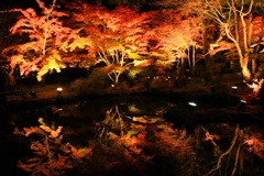池に映る紅葉