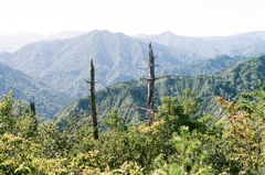 蒲生岳山頂にて