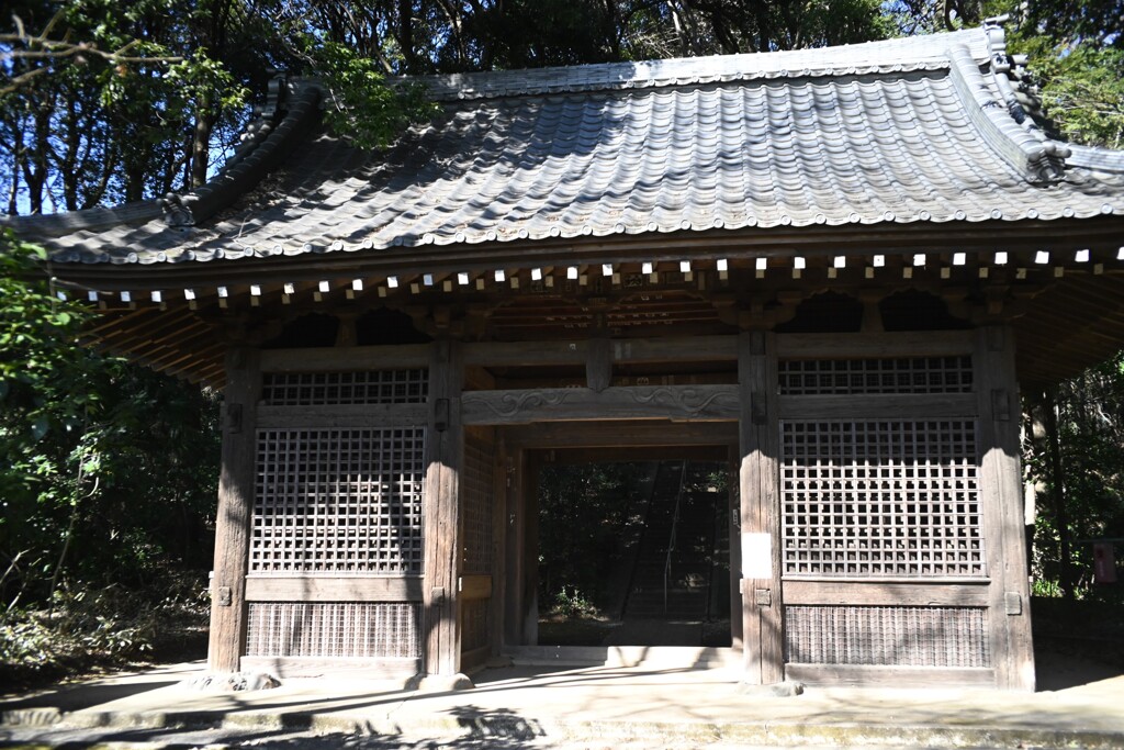 武蔵国分寺薬師堂③