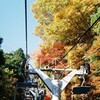 紅葉⑤
