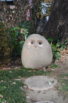 撮り忘れたもの
