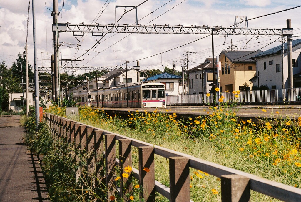 府中競馬正門前駅