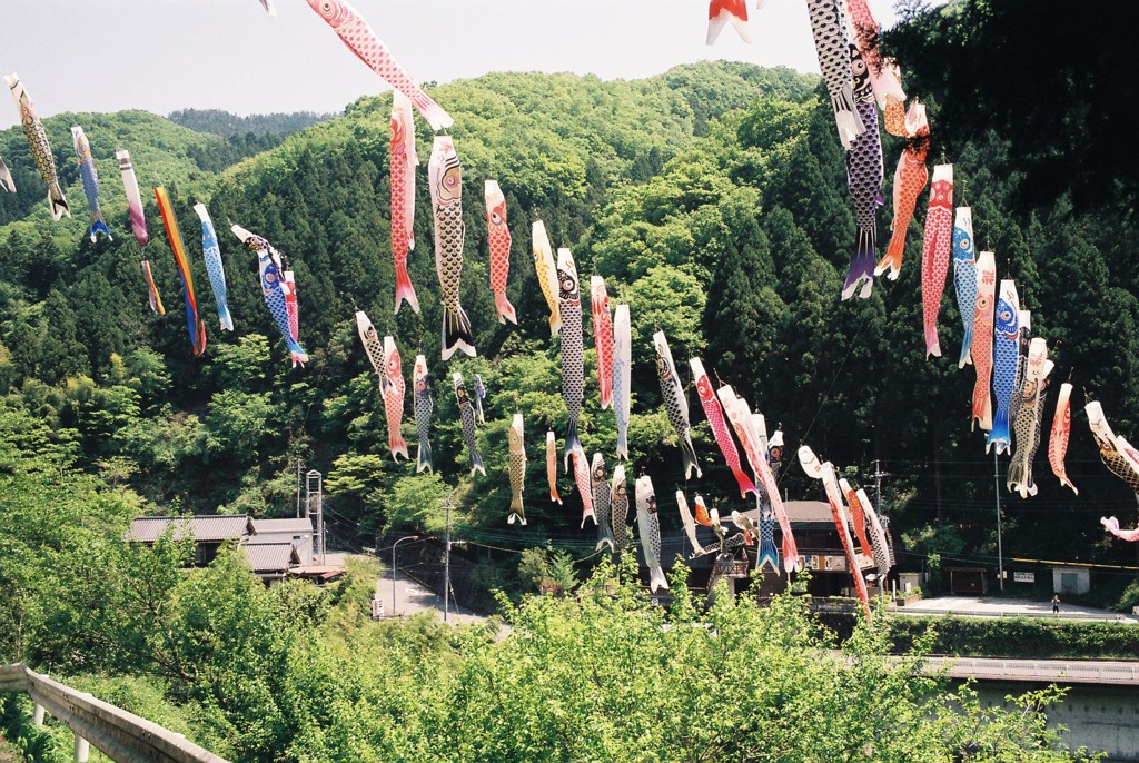 鯉のぼりの谷渡し
