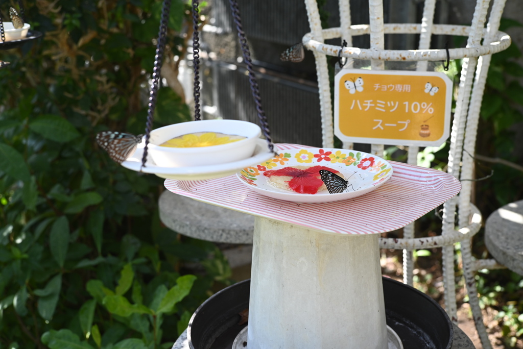 50mmレンズ1本で動物園めぐり