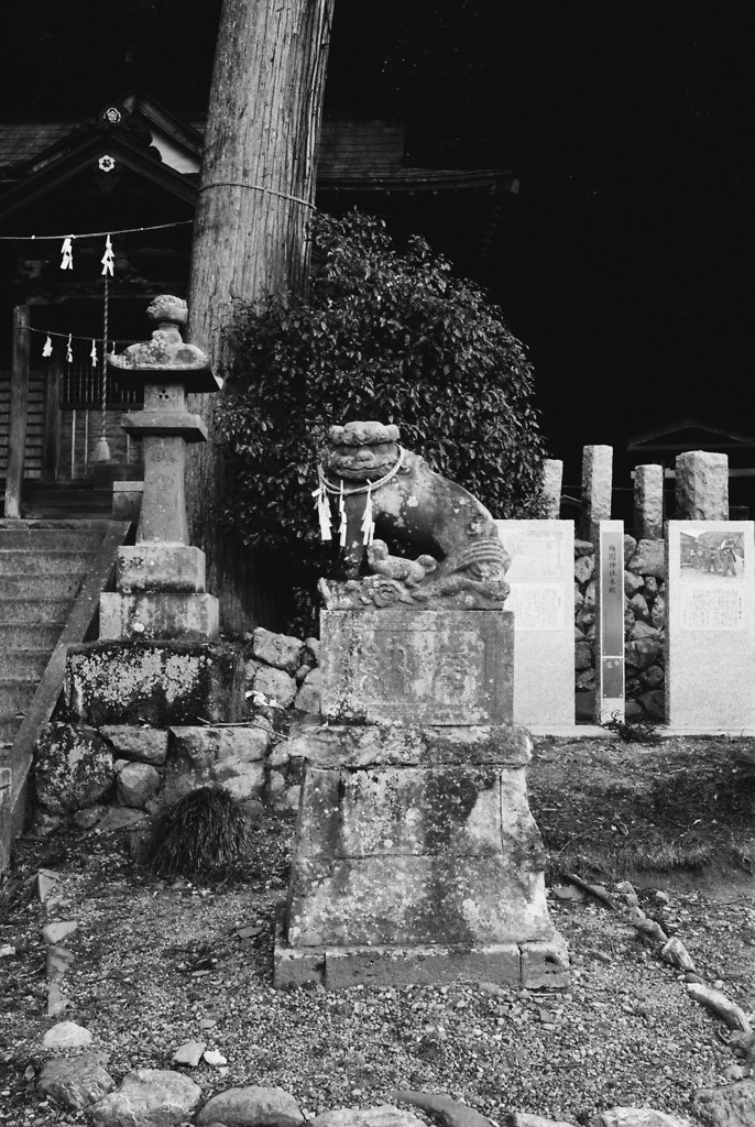 狛犬