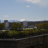 百草園にて②