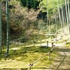 竹林
