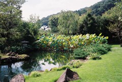 高尾駒木野庭園