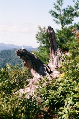 蒲生岳山頂にて