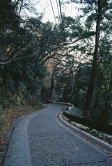 高尾山自然研究路