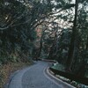 高尾山自然研究路