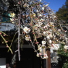 福傳寺にて
