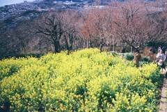 吾妻山公園にて