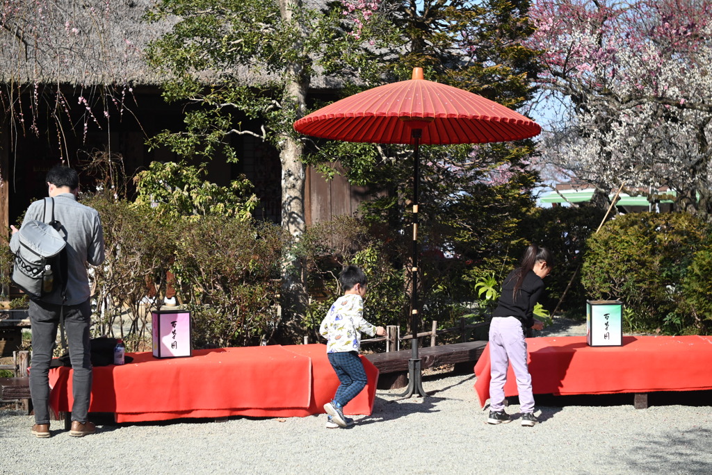 百草園にて