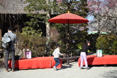 百草園にて