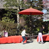 百草園にて