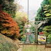 紅葉⑤