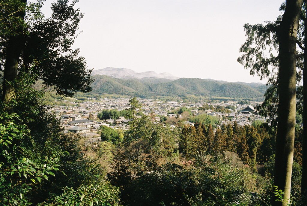 嵯峨野の眺望