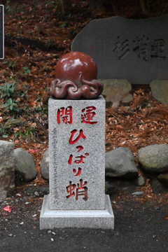 ひっぱり蛸