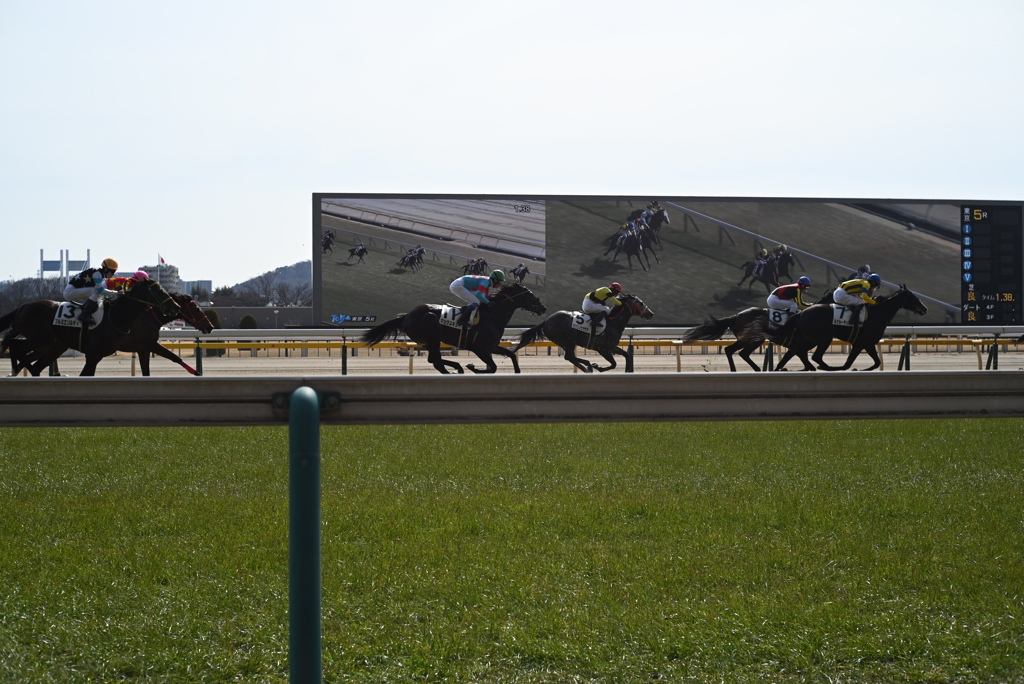 府中競馬場にて