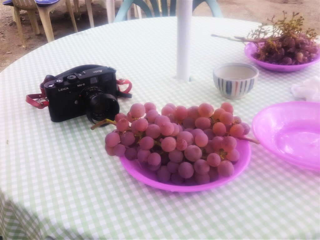 甲州ぶどう