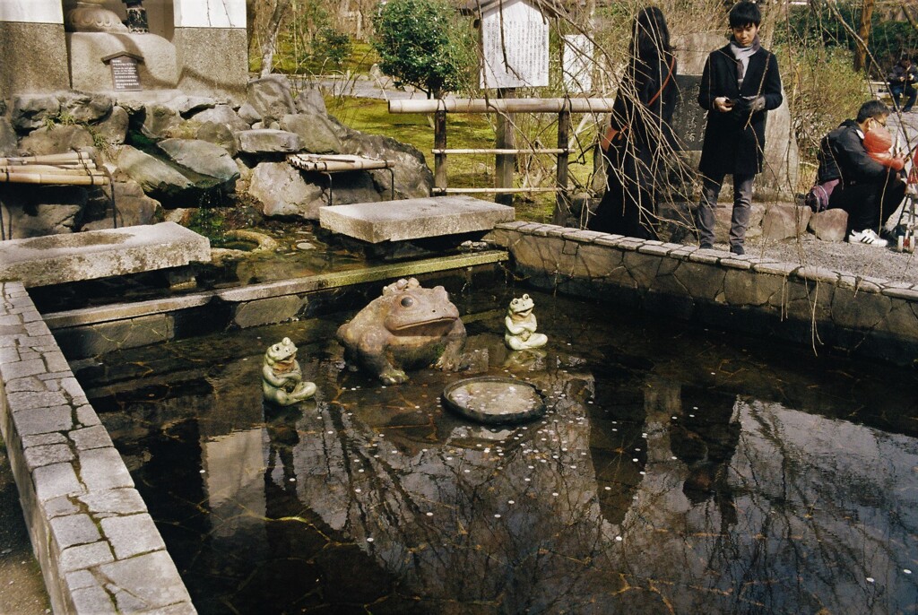 天龍寺にて